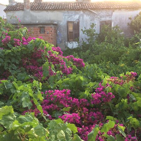 Parmis Rooms Cesme Exterior foto